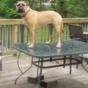 Meet your Posher, Anita